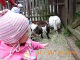 Tierpark_Aue2.jpg
