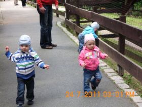Tierpark_Aue3.jpg