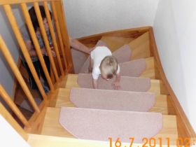Treppe_Emma.jpg